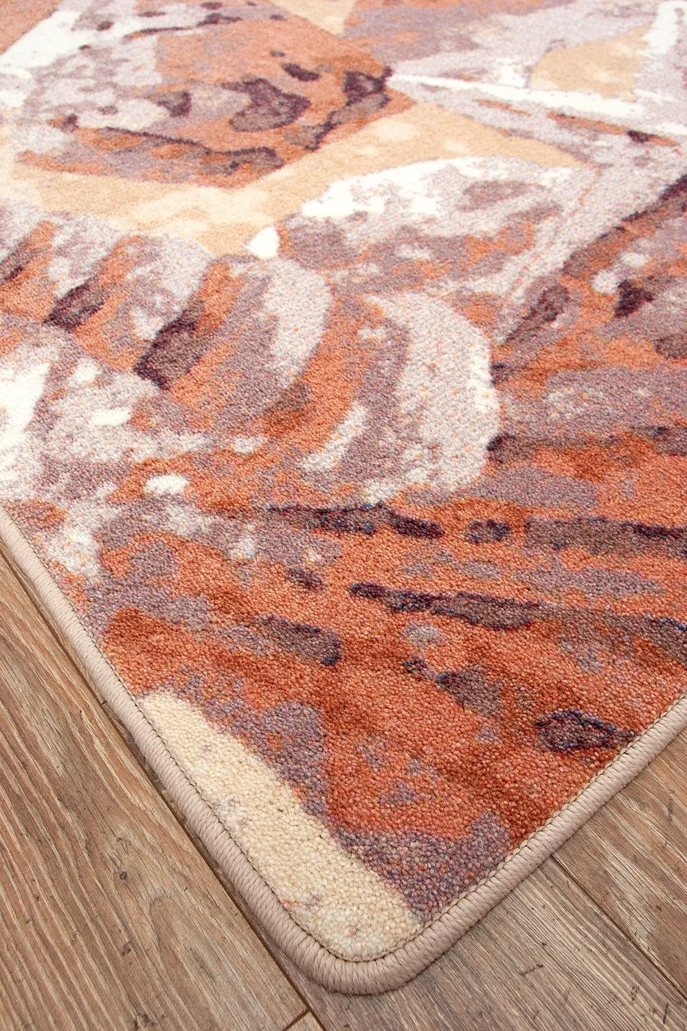 Coral Shells Coastal Rugs